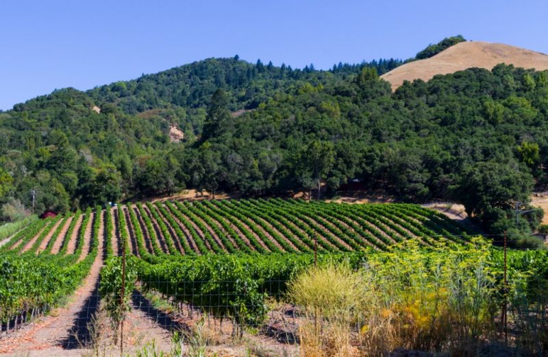 Local Kitchen Remodeling in Santa Rosa, CA