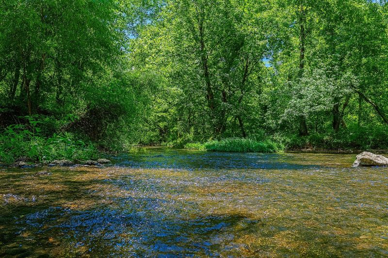 Local Residential Kitchen Remodeling in Smyrna, TN